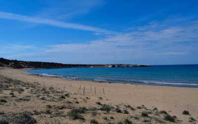 Wycieczka na plażę Lara Beach [27] z Pafos